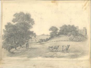 pencil sketch