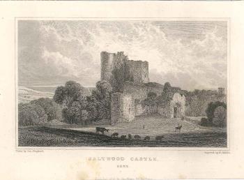 print of Saltwood castle