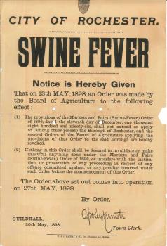 poster, Swine Fever