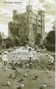 castle gardens & keep postcard